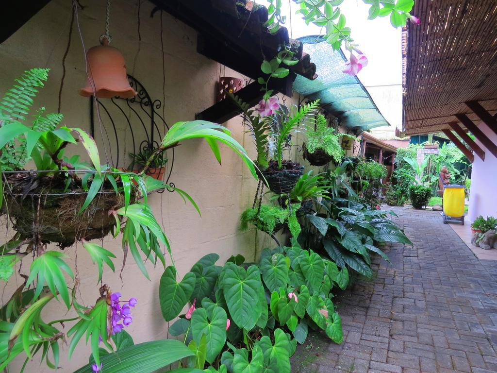 Hotel Vagabondo La Fortuna Zewnętrze zdjęcie